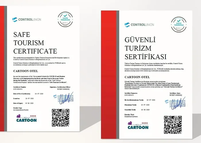 كارتون فندق 4*