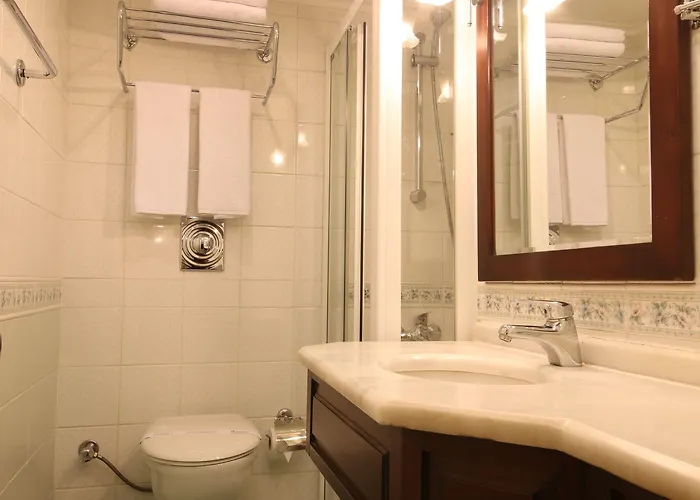 Cartoon מלון איסטמבול