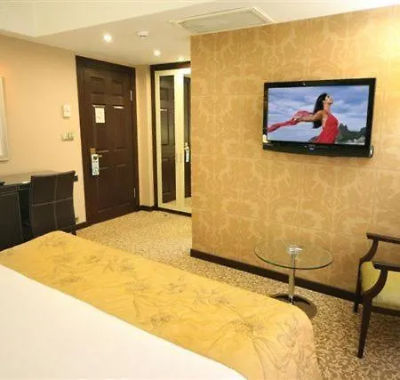 Cartoon Hotel Estambul