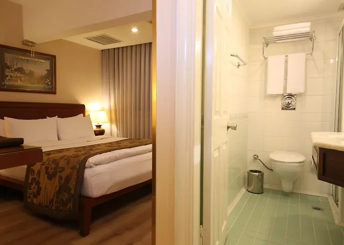 فندق كارتون اسطنبول